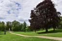 Christchurch Park in Ipswich, where a man was stabbed