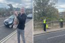 A swan was rescued from Princes Street this morning