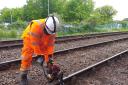 Weekend track renewal on East Suffolk Line starts end of November.