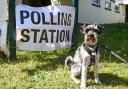 Friday was waiting outside of Bramford's polling station on Thursday.