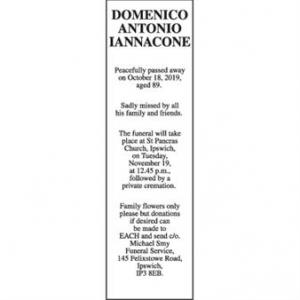 DOMENICO ANTONIO IANNACONE