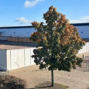 The new Lidl will be built at the site of the former B&Q garden centre at the Anglia Retail Park. Picture: Paul Geater