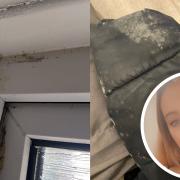 Ipswich mum worries about her daughters' health after living in mouldy flat for a year, Supplied