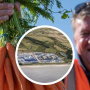 Farmer James Foskett holding some of his organic carrots and a CGI of the Sizewell C power station