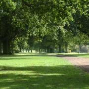 Bourne Park in Ipswich has received a Green Flag Award