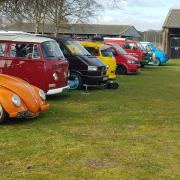 A car show and autojumble where you can purchase vintage Volkswagen vehicles is coming to an Ipswich park