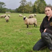 Amber Pirie, of Baylham House Rare Breeds Farm