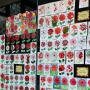 Some of the poppies on display