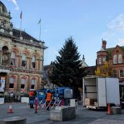 Christmas tree goes up at Cornhill ahead of the lights switch-on.