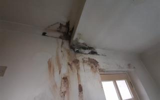 After water damage caused extensive mould in her home, an Ipswich mum is hoping that her troubles are finally coming to an end.