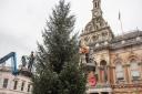 Ipswich's Christmas tree being put up in a previous year