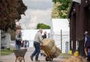 Organisers and exhibitors have been getting Trinity Park ready for the show.