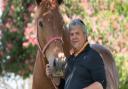 Bruce Kerr, Suffolk Show Director with Her Majesty The Queen's Suffolk Punch, Whitton Poppy at Easton Farm Park Picture: SARAH LUCY BROWN