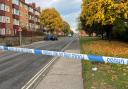 A man accused of causing death by dangerous driving in Ipswich will stand trial later this month.