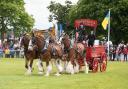 Here is everything you need to know about the Suffolk Show in 2023