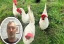 Allotment owners have held a meeting with Sproughton Parish Council following a ban on chickens