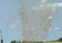 A dust devil was spotted in Suffolk over the weekend