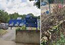 The community has come together to restore the school's forest school after trees were cut down by vandals.