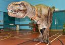 Dinosaurs are heading to Ipswich this weekend