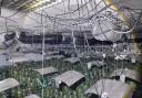 Cannabis factory found by Suffolk Police