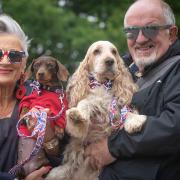 People are heading to the Suffolk show for the second, and final day