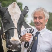 John Cawston with his winning Holstein at the Suffolk Show