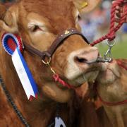 The Grand Parade on the final day of the Suffolk Show 2018  Picture: SARAH LUCY BROWN