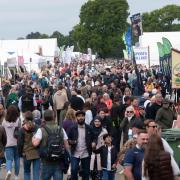 The incident happened while the Suffolk Show was ongoing