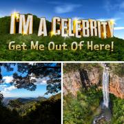 I'm a Celebrity...Get Me Out of Here returns to ITV on November 17, 2024.