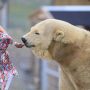 Ewa has celebrated her 18th birthday in style at Jimmy's Farm