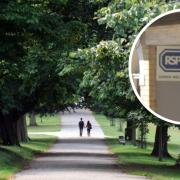 The RSPCA has advised dog owners to take care if in Ipswich parks