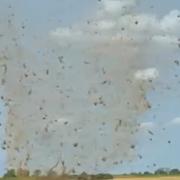 A dust devil was spotted in Suffolk over the weekend