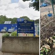 The community has come together to restore the school's forest school after trees were cut down by vandals.