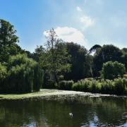 Holywells Park in Ipswich  is closed until further notice