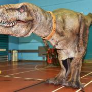 Dinosaurs are heading to Ipswich this weekend