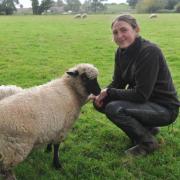 Amber Pirie, of Baylham House Rare Breeds Farm, with some of the sheep at the site