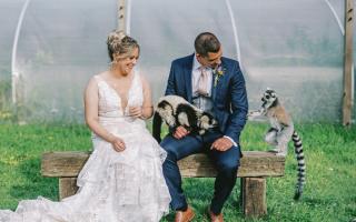 A Suffolk farm has launched an open day for its animal themed weddings