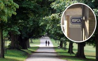 The RSPCA has advised dog owners to take care if in Ipswich parks